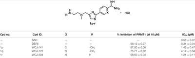 Design and Synthesis of Novel PRMT1 Inhibitors and Investigation of Their Effects on the Migration of Cancer Cell